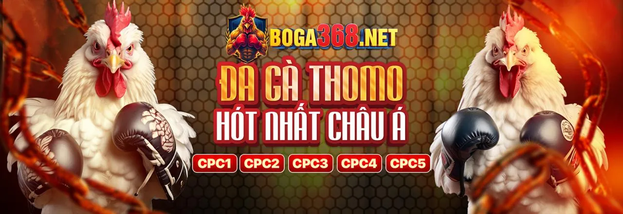 Đa dạng trò chơi tại Bayvip Login